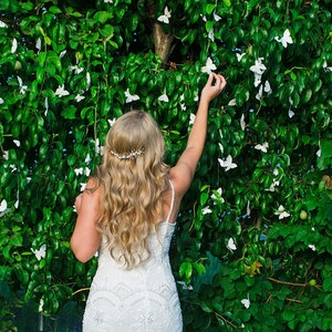 butterfly display and bride at wedding reception