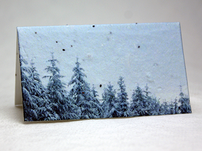 Winter print seed paper place card