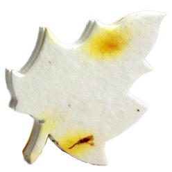 oak leaf tag favor