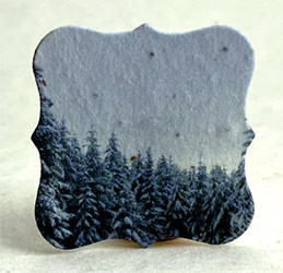 square seed paper tags
