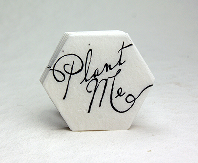 Plant Me Hexagon