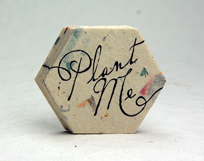 Plant Me #47s Hexagon